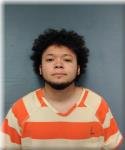 CHAPARRO-SOLORZANO, JEAN Mugshot
