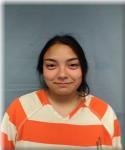 GESEL, JULISA Mugshot