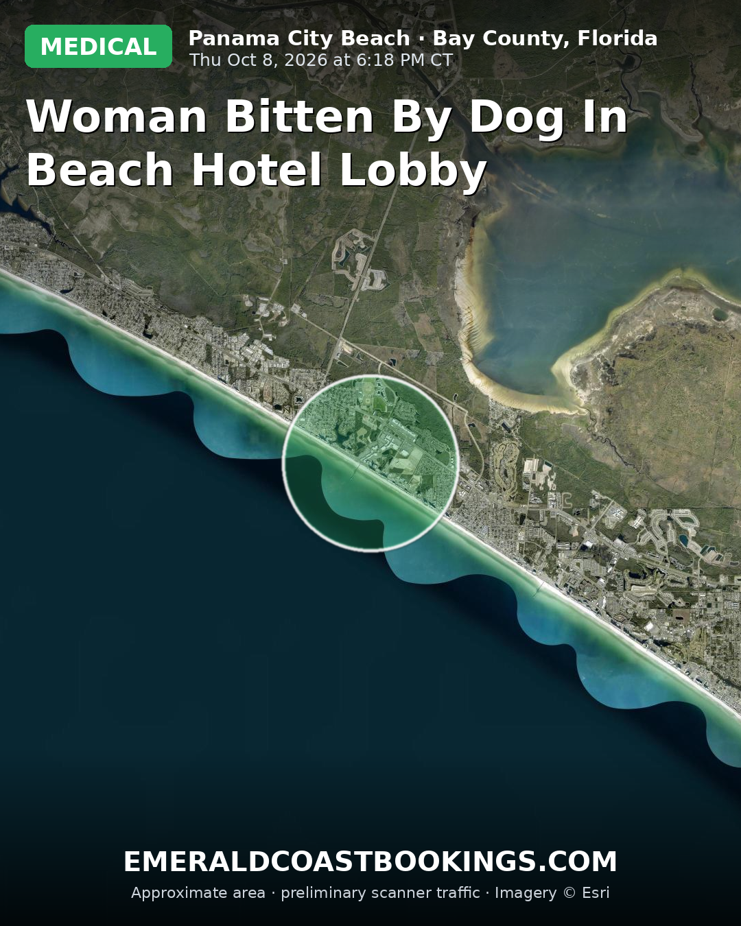 Map: WOMAN BITTEN BY DOG IN BEACH HOTEL LOBBY