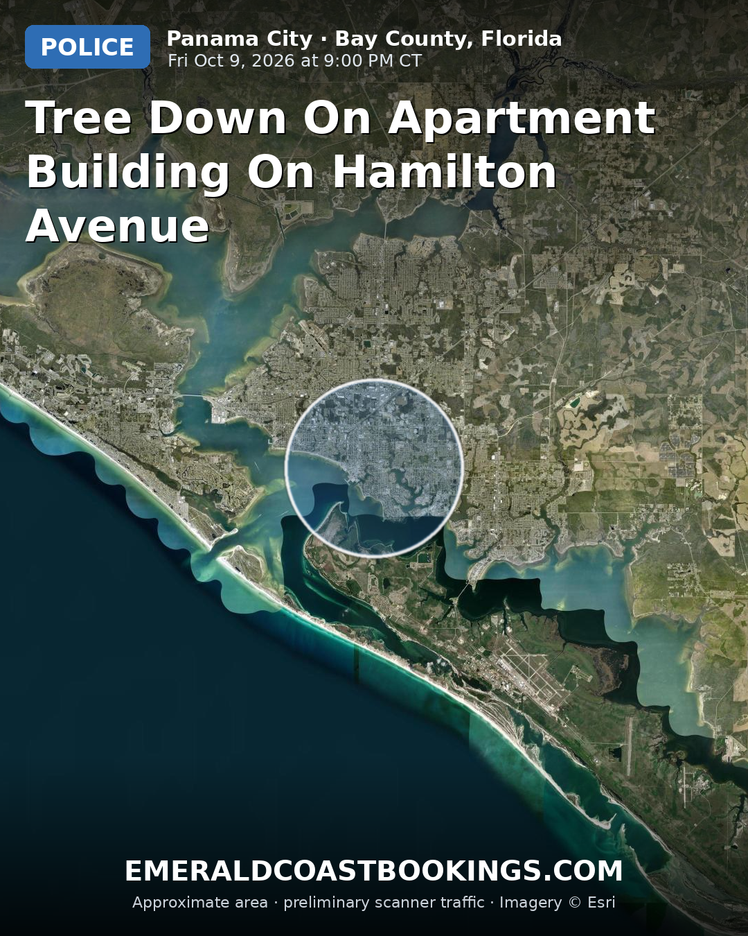 Map: TREE DOWN ON APARTMENT BUILDING ON HAMILTON AVENUE