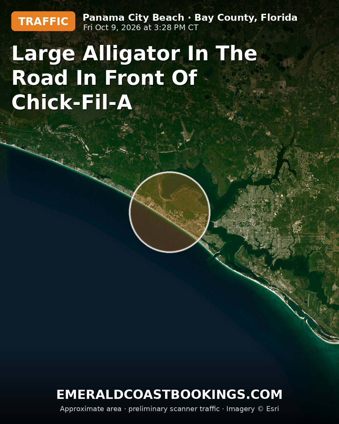 Map: LARGE ALLIGATOR IN THE ROAD IN FRONT OF CHICK-FIL-A