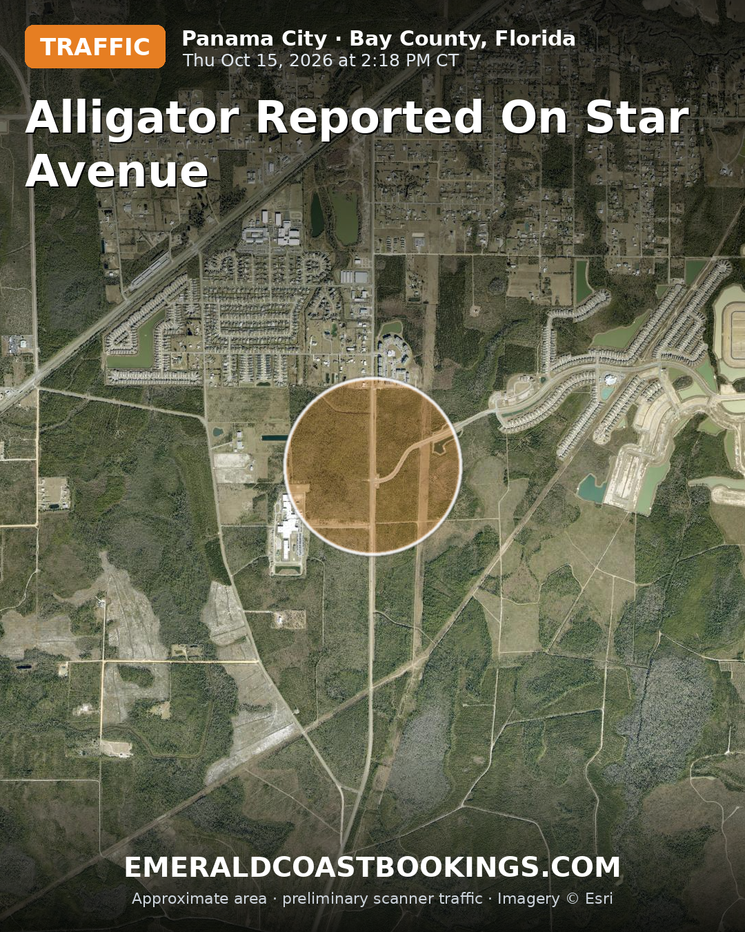 Map: ALLIGATOR REPORTED ON STAR AVENUE