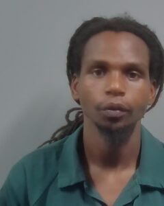Brian Germaine Mcgee booking photo